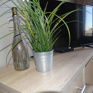 Familien-Studio